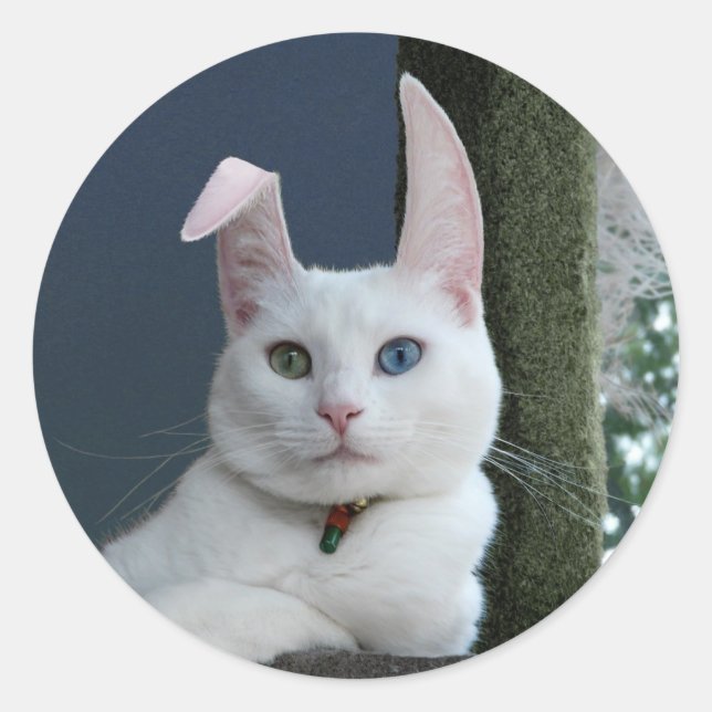 Serenidade como adesivo coelho (Frente)