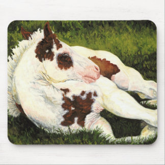 Serenidade - pinte o potro Mousepad do cavalo