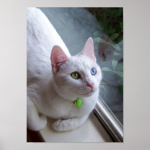 Serenidade por poster de janela