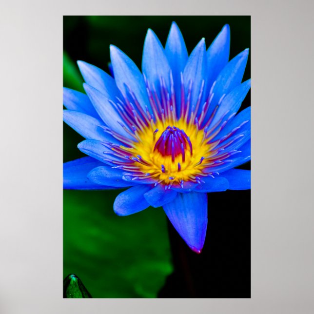 Serenidade - poster (Frente)