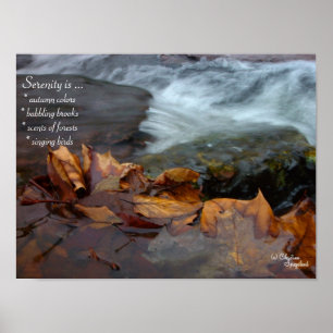 Serenity Creek deixa Poster