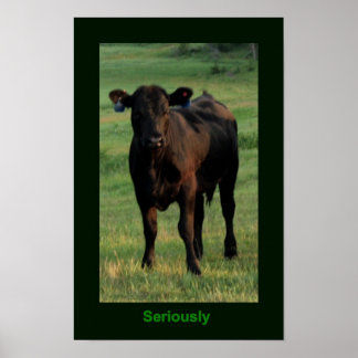Seriamente Poster