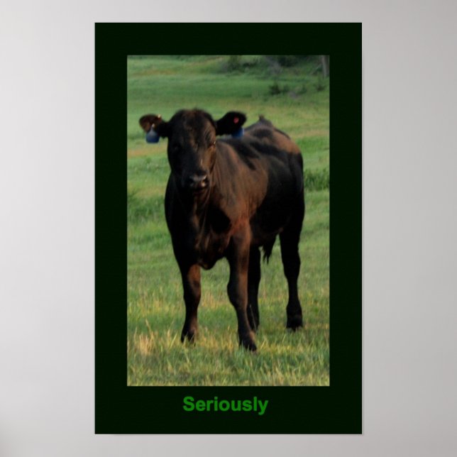 Seriamente Poster (Frente)