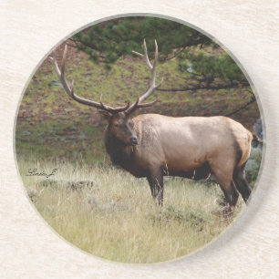 Série Animal — Elk na Porta copos Selvagem