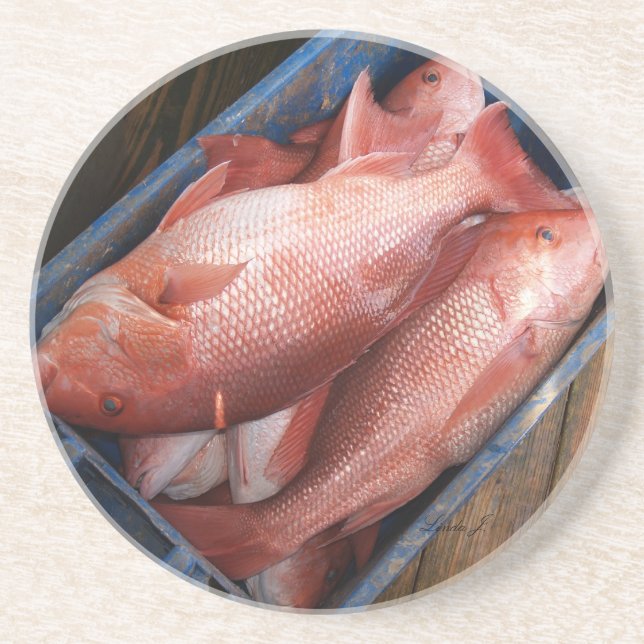 Série Animal — Porta copos de Peixe de Instantâneo (Frente)