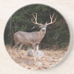 Série Animal — Porta copos de veados