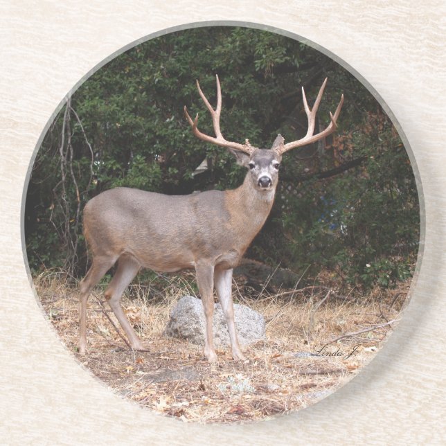 Série Animal — Porta copos de veados (Frente)