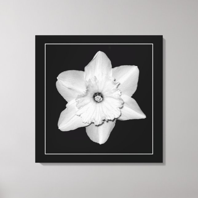 'Série de Narcisos, Imagem 2' Impressão em Tela En (Frente)