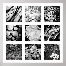 Série "Detalhes da Natureza" - poster florestal