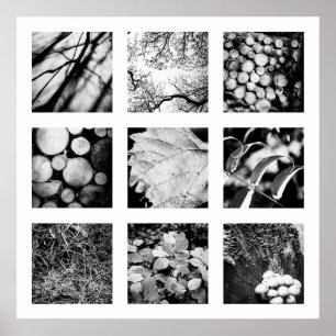 Série "Detalhes da Natureza" - poster florestal