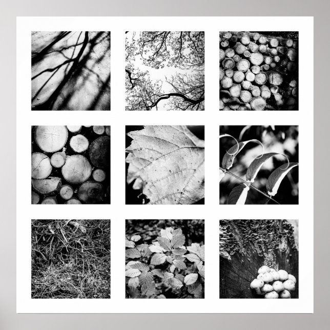 Série "Detalhes da Natureza" - poster florestal (Frente)