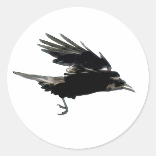 Série PRETA da etiqueta do CORVO do VÔO