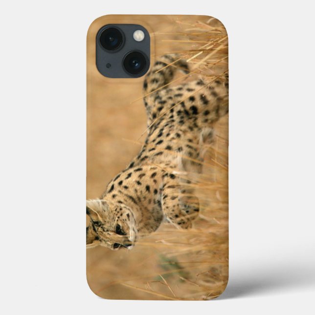 Serval (Leptailurus Serval) Saltando (Verso)