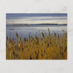 Sescape de Ostrobothnia CC0076 Cartão postal