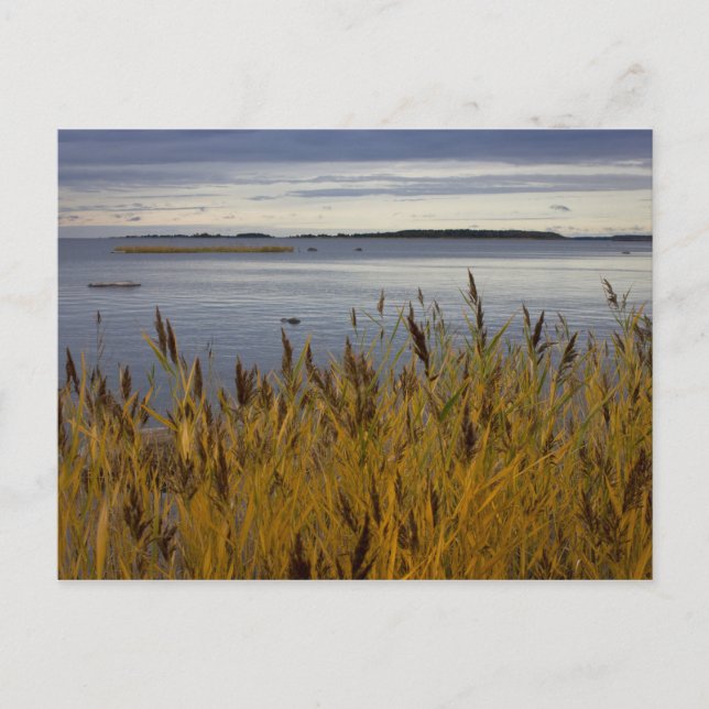 Sescape de Ostrobothnia CC0076 Cartão postal (Frente)