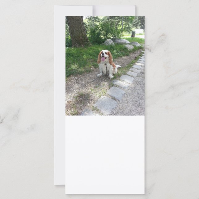 sessão cav (Frente)