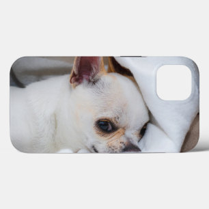 Seu cachorrinho de estimação foto personalizada ch