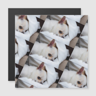 Seu cachorro de estimação, foto personalizada, pad
