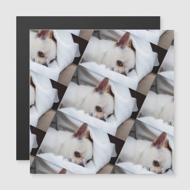 Seu cachorro de estimação, foto personalizada, pad (Frente/Verso)