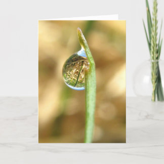 Seu cartão de cabeça para baixo girado mundo