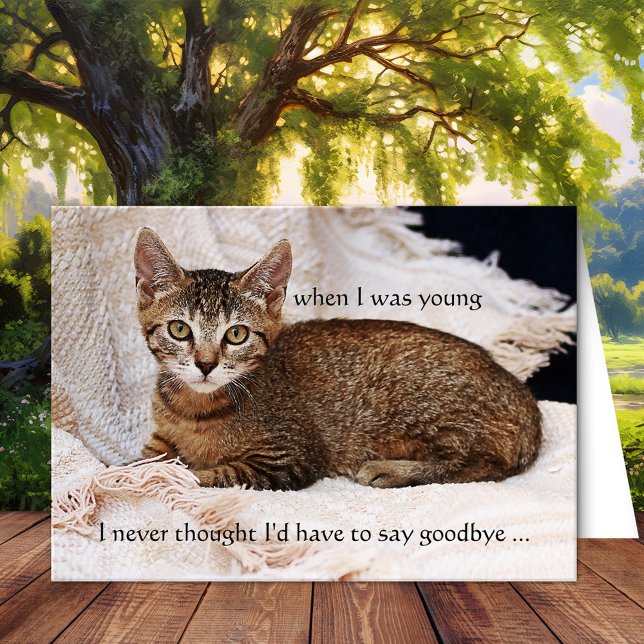 Seu Cartão de Saudação de Simpatia de Foto Cat (Cat sympathy custom photo condolences greeting card)