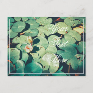 Seu Cartão Postal Flor de Nenúfar Folhas Verdes