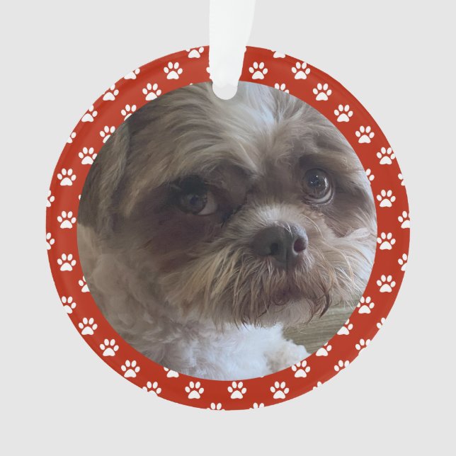 Seu Enfeite de Estimação (Frente)