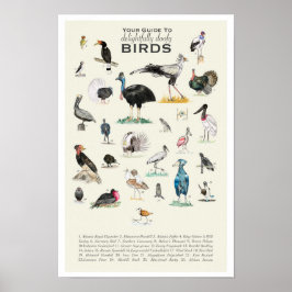 Seu Guia para Doofy Birds 11x17 Poster