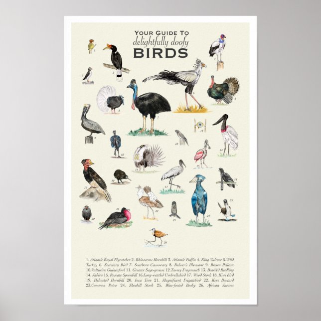 Seu Guia para Doofy Birds 11x17 Poster (Frente)