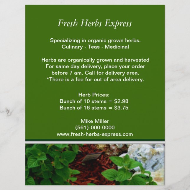 Seu Herb Business Flyer (Frente)