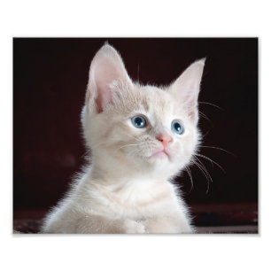 Seu Impressão personalizado de fotos