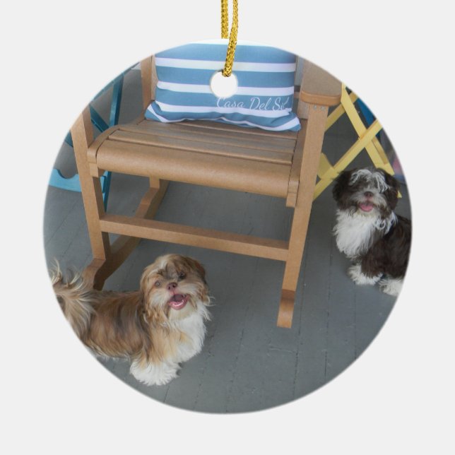 Seu Ornamento Pet (Frente)