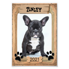 Seu Pet Familiar - Modelo de Fotografia Decorativo