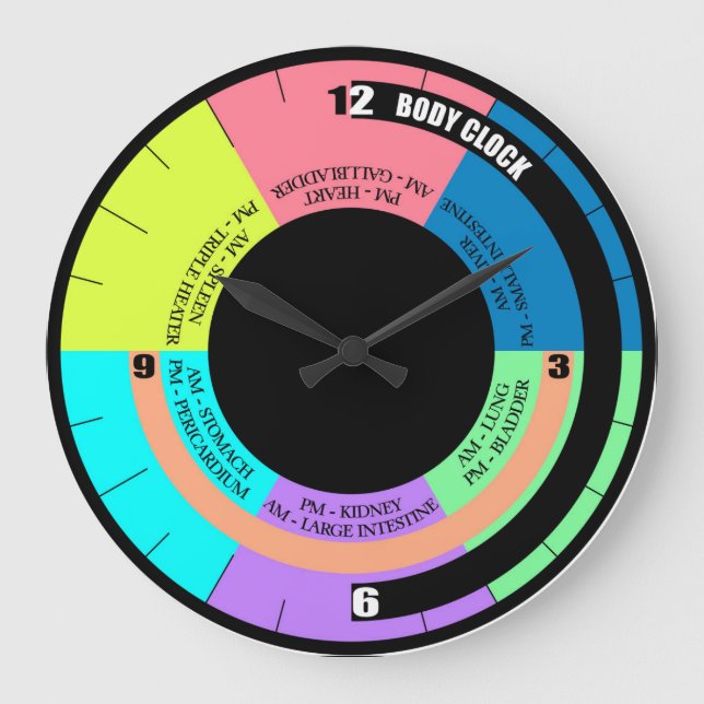 Seu Relógio De Parede Do Corpo Biológico (Frente)