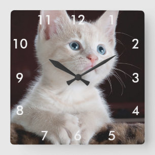 Seu relógio quadrado quadrado personalizado com nú