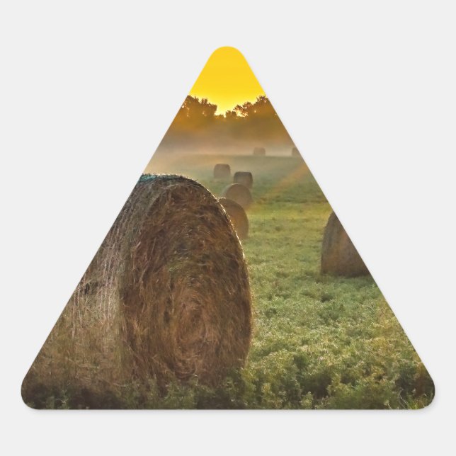 Seus adesivos de triângulo personalizados (Frente)