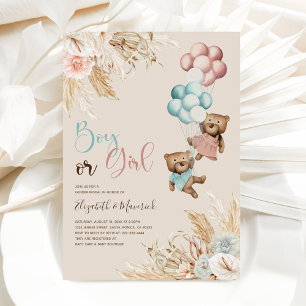 Sexo do Urso de Grama de Pampas Revela Convite