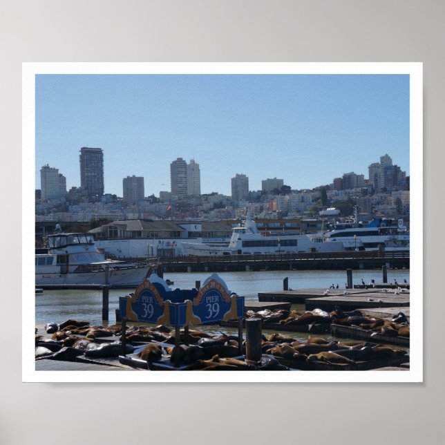 SF City Skyline & Pier 39 Sea Lions #1-2 Poster (Frente)