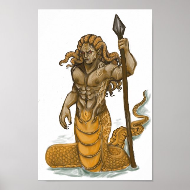 Shaagra poster (Frente)