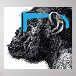 Shades Engraçado Poster