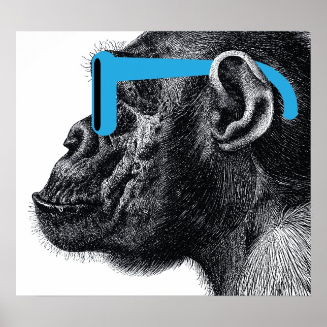 Shades Engraçado Poster (Frente)