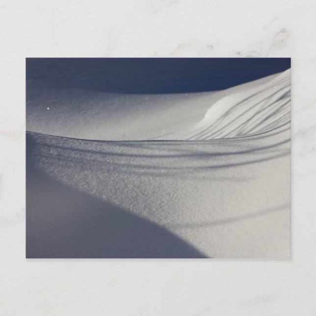 Shadows no cartão postal CC0098 de neve não tocada (Frente)