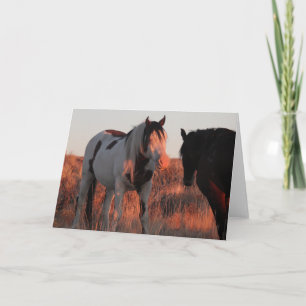 Shaman Dobrou Cartão de Nota 5x7