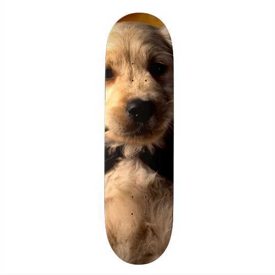 Shape De Skate 21,6cm Conselho feito sob encomenda do parque do filhote