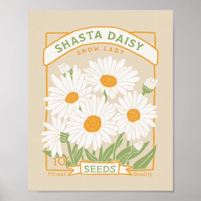 Shasta Daisy Poster (Frente)