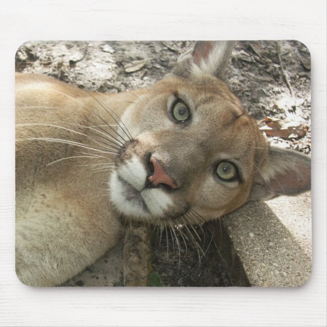 Sheena Mousepad - liso (Frente)