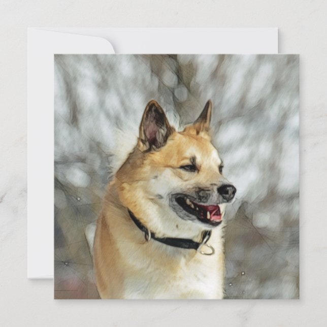 Sheepdog Islandês 019 (Frente)