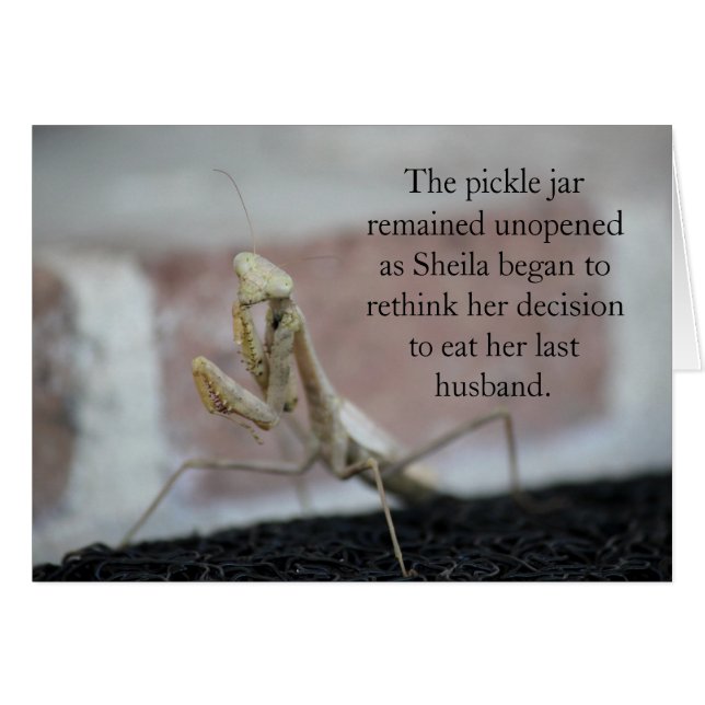 Sheila, o cartão de alimentação humana (Frente horizontal)