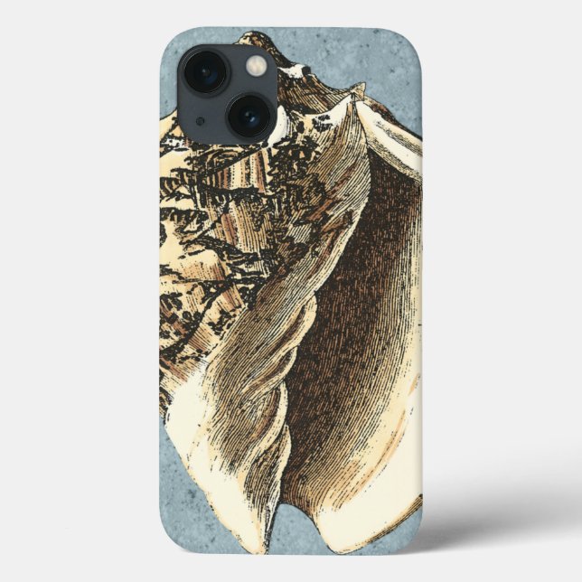 Shell de Conch com Lavagem (Verso)