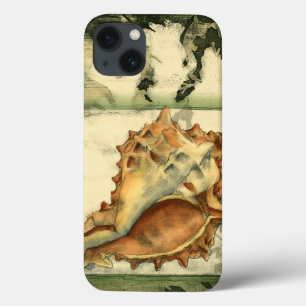 Shell de Conch de Silhueta